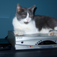 Image for article titled The FCC Wants to Stop Cable Companies From Ripping You Off On Set-Top Boxes